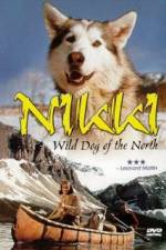 Watch Nikki Wild Dog of the North Sockshare