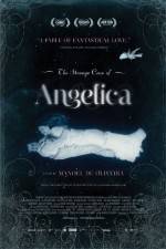 Watch The Strange Case of Angelica Sockshare