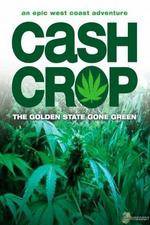 Watch Cash Crop Sockshare