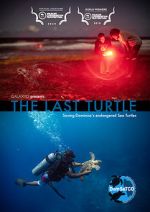 Watch The Last Turtle (Short 2019) Sockshare