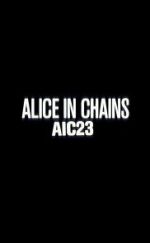 Watch Alice in Chains: AIC 23 Sockshare