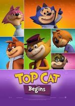 Watch Top Cat Begins Sockshare