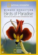 Watch Winged Seduction: Birds of Paradise Sockshare