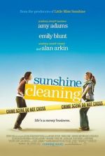 Watch Sunshine Cleaning Sockshare