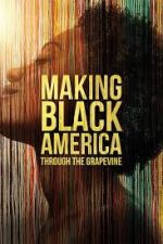 Watch Making Black America: Through the Grapevine Sockshare