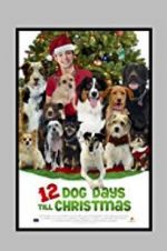 Watch 12 Dog Days Till Christmas Sockshare