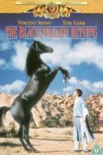 Watch The Black Stallion Returns Sockshare