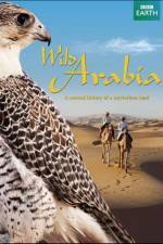 Watch Wild Arabia Sockshare