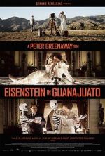 Watch Eisenstein in Guanajuato Sockshare