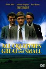Watch All Creatures Great and Small Sockshare
