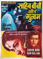 Watch Sahib Bibi Aur Ghulam Sockshare