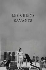 Watch Les chiens savants Sockshare