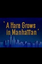 Watch A Hare Grows in Manhattan Sockshare