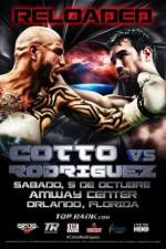 Watch Miguel Cotto vs Delvin Rodriguez Sockshare