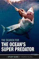 Watch The Search for the Oceans Super Predator Sockshare