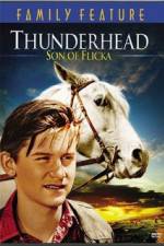 Watch Thunderhead - Son of Flicka Sockshare