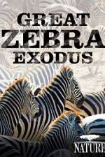 Watch Nature: Great Zebra Exodus Sockshare