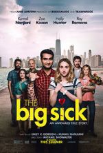 Watch The Big Sick Sockshare