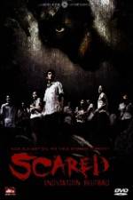 Watch Scared Sockshare