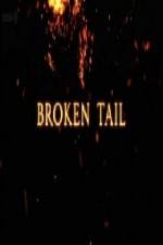 Watch A Tiger Called Broken Tail Sockshare