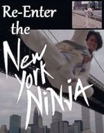 Watch Re-Enter the New York Ninja Sockshare
