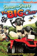 Watch Shaun the Sheep: The Big Chase Sockshare