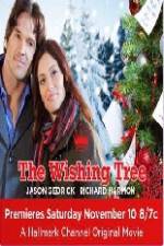 Watch The Wishing Tree Sockshare