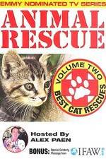 Watch Animal Rescue, Volume 2: Best Cat Rescues Sockshare