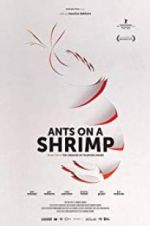 Watch Ants on a Shrimp Sockshare