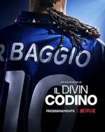 Watch Baggio: The Divine Ponytail Sockshare