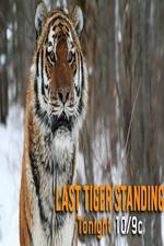 Watch Discovery Channel-Last Tiger Standing Sockshare