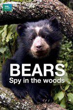 Watch Bears: Spy in the Woods Sockshare