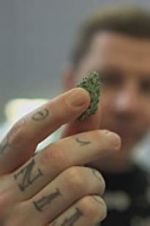 Watch Professor Green: Is It Time to Legalise Weed? Sockshare