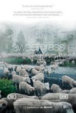 Watch Sweetgrass Sockshare