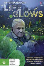 Watch Attenborough\'s Life That Glows Sockshare