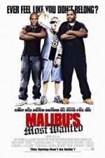 Watch Malibu's Most Wanted Sockshare