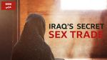 Watch Undercover with the Clerics: Iraq\'s Secret Sex Trade Sockshare