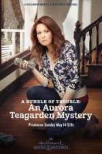 Watch A Bundle of Trouble: An Aurora Teagarden Mystery Sockshare