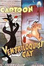 Watch Ventriloquist Cat Sockshare