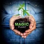 Watch The Magic Plant Sockshare
