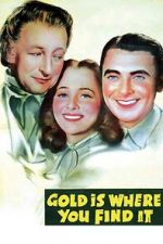 Watch Gold Is Where You Find It Sockshare