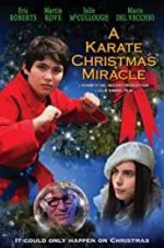 Watch A Karate Christmas Miracle Sockshare