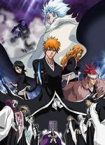 Watch Bleach the Movie 2: The Diamond Dust Rebellion Sockshare