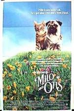 Watch Milo and Otis Sockshare