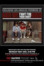 Watch Beastie Boys: Fight for Your Right Revisited Sockshare