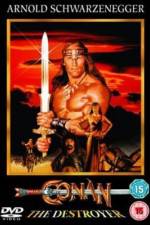 Watch Conan the Destroyer Sockshare