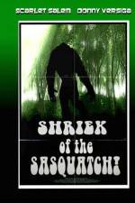 Watch Shriek of the Sasquatch Sockshare