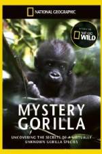 Watch National Geographic Mystery Gorilla Sockshare