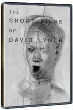 Watch The Short Films of David Lynch Sockshare