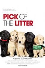 Watch Pick of the Litter Sockshare